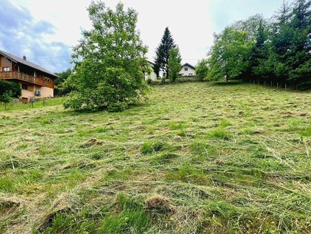 terrain à bâtir à schirmeck (67130)