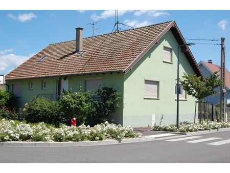 ingersheim : en exclu  belle maison 7p 179 m²