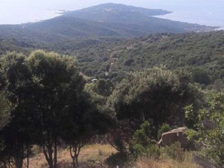 superbe terrain de 8700 m2 à coti-chiavari vue mer et golfe d'ajaccio