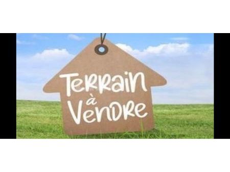 terrain constructible