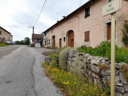 maison individuelle village