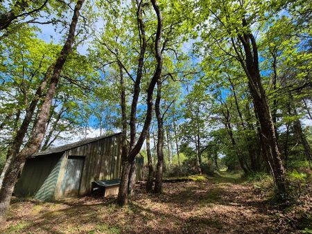 bâtiment 30m2 + bois