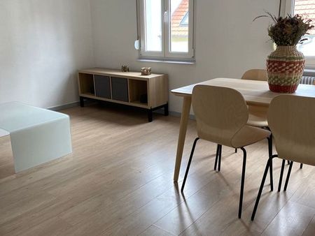 appartement 2 chambres 55m2 schiltigheim