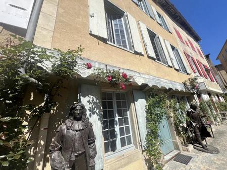 belle propriété de caractère dans un bourg populaire