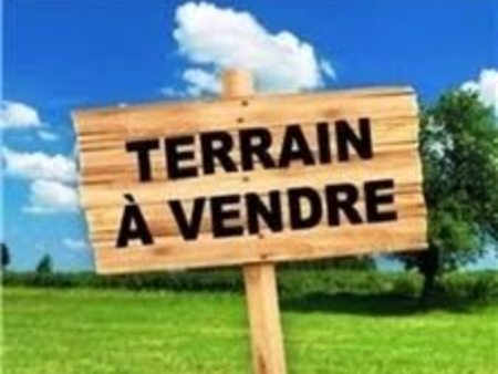 vente terrain 6000 m²