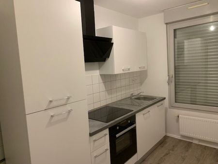 appartement 2 pieces 47m² montbeliard 25200