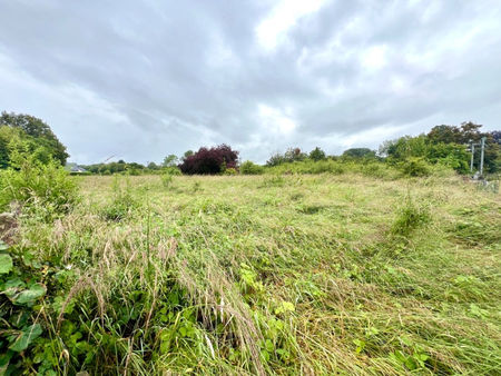 a vendre terrain constructible 2787 m² à tierce | capifrance