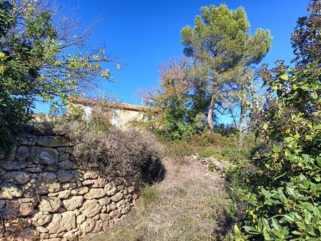 terrain agricole avec bâtisse en ruine