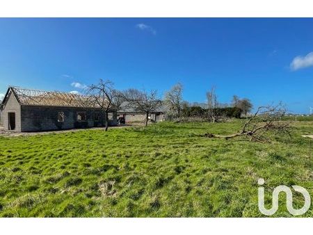 vente terrain 1243 m² gueutteville-les-grès (76460)