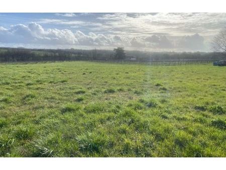 vente terrain 600 m² branne (33420)