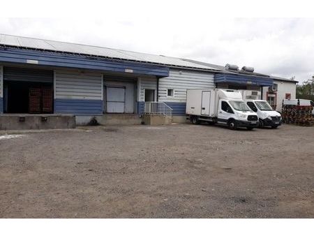 location local industriel 1200 m² saint-denis (97400)