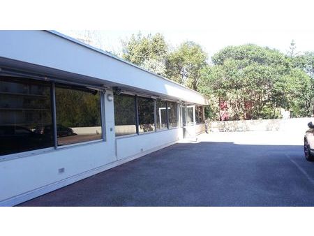 local 486 m² cannes