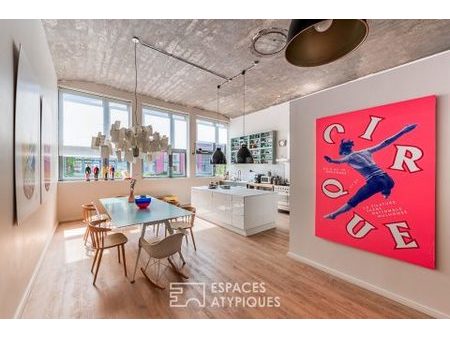 authentique loft et sa terrasse sur les toits