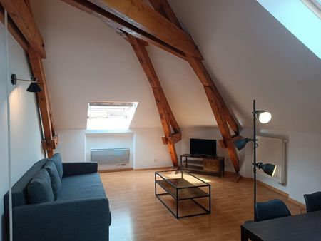 maagnifique appartement meublé avec poutres apparentes disponible fin aout