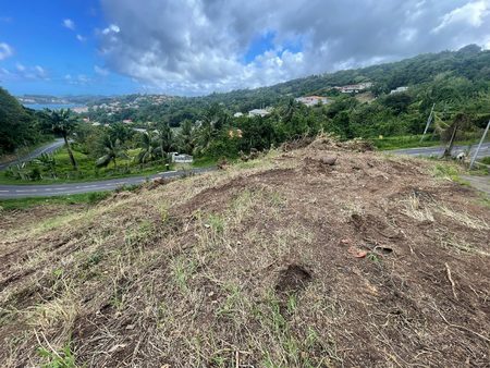 terrain constructible