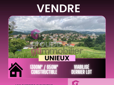 terrain de 1300m2 environ dont 650m² constructible