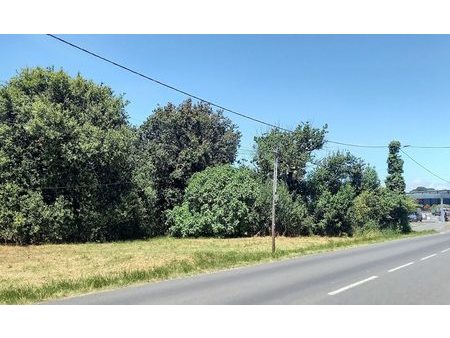 vente terrain 1259 m²