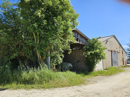 bâtiment en pierre au fort potentiel  avec jardin de 1700 m2