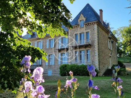 isere - elegant chateau xixème s de 624 m² habitables dans parc de 2 ha