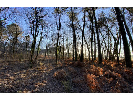 vente terrain 15113 m² bussac-forêt (17210)