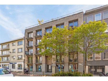 aaa locatie- kantoren in kribbestraat 3  2000 antwerpen