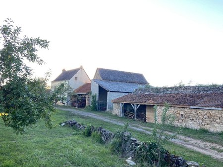 rignac-corps de ferme avec dependances