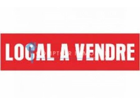 vente locaux professionnels 481 m²