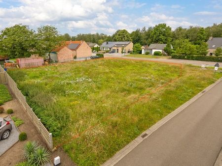 terrain à vendre à tessenderlo € 218.000 (krkd2) - grosfeld lokaal vastgoed | zimmo