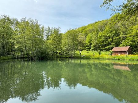 magnifique etang pleine nature baignade pêche terrain 5000m2