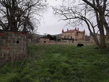 ferme château  dépendances et maison individuelle rénovée