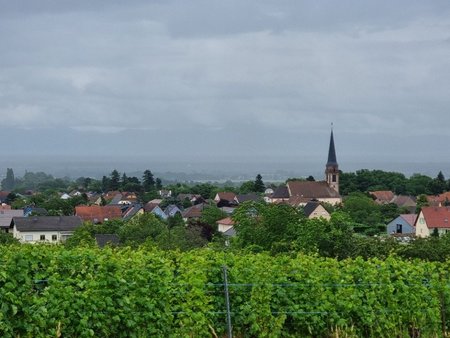 terrain à bâtir à wuenheim (68500)