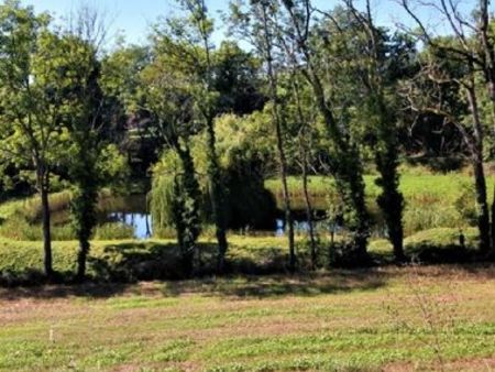 terrain 1325m2 cadre idyllique - location vente possible