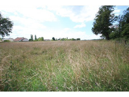 terrain - 10 742m² - sougy sur loire