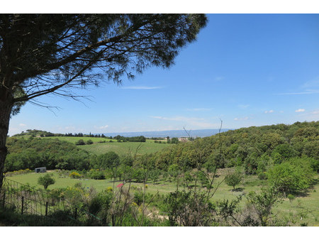 **domaine d'exception de 6 hectares à 10 minutes de carcassonne : vue panoramique  fruitie