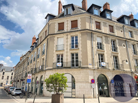 appartement à vendre au coeur historique de blois