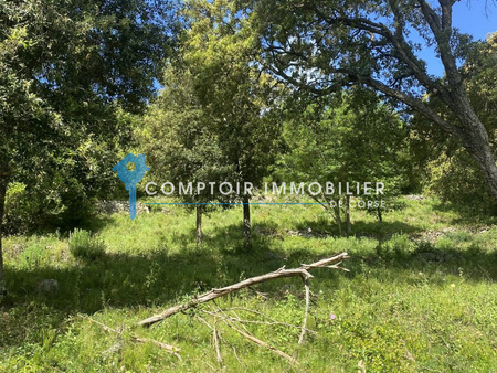 dpt corse prunelli di fiumorbi - terrain constructible à vendre