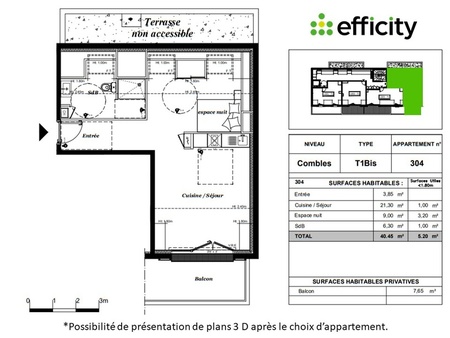 appartement 1 pièce - 40 m²