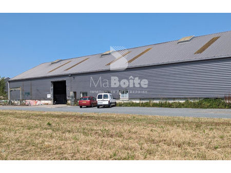 vente commerce 1064 m² mably (42300)