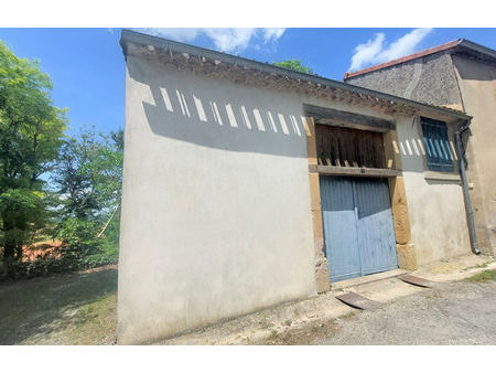 vente local industriel 1 pièce 50 m² gaja-la-selve (11270)