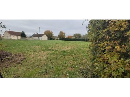 vente terrain 1000 m²