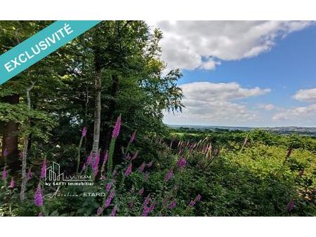 terrain de loisir arboré sans vis à vis avec une vue campagne