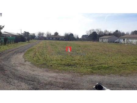 terrain constructible centre pugnac sous pa pour 3 lots