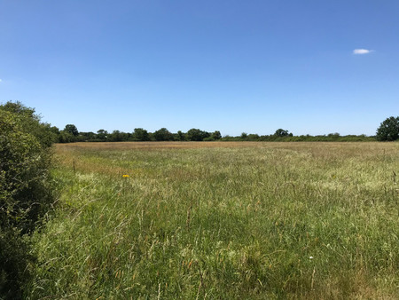 deux champs de prairie d'un peu moins de 6 hectares  autrefois utilisés pour faire paître 