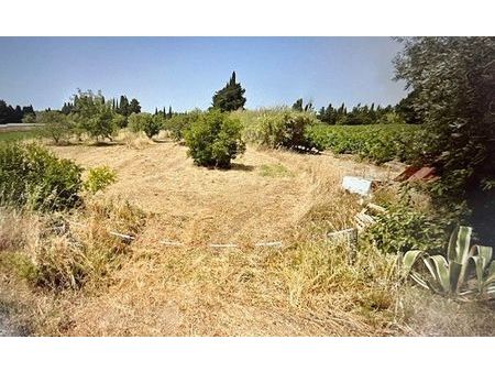 loue partie d'un jardin agro bio