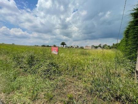 terrain constructible en sortie de village