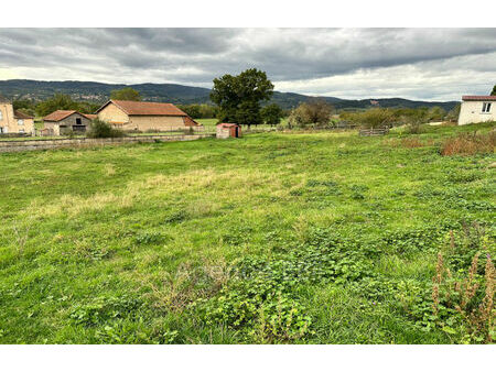 vente terrain 1550 m² saint-forgeux-lespinasse (42640)