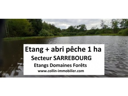 en vente terrain constructible 100 ares – 77 000 € |sarrebourg