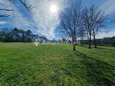 vente terrain 3289 m2 à neuvic