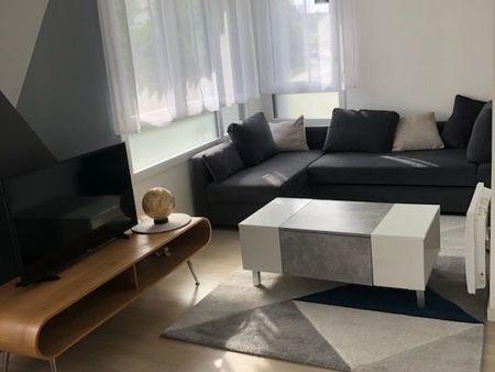 appartement t2 meublé 52 m2  850/mois hc