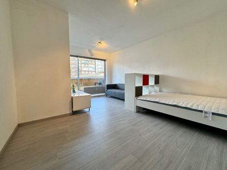 magnifique studio meuble de 42 m2